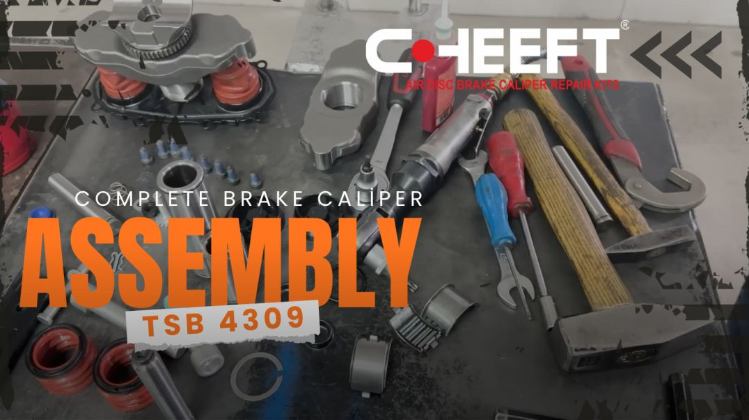 BPW TSB 4309-228 Caliper Assembly Guide | All Key Points (Roller Bearing Position!)